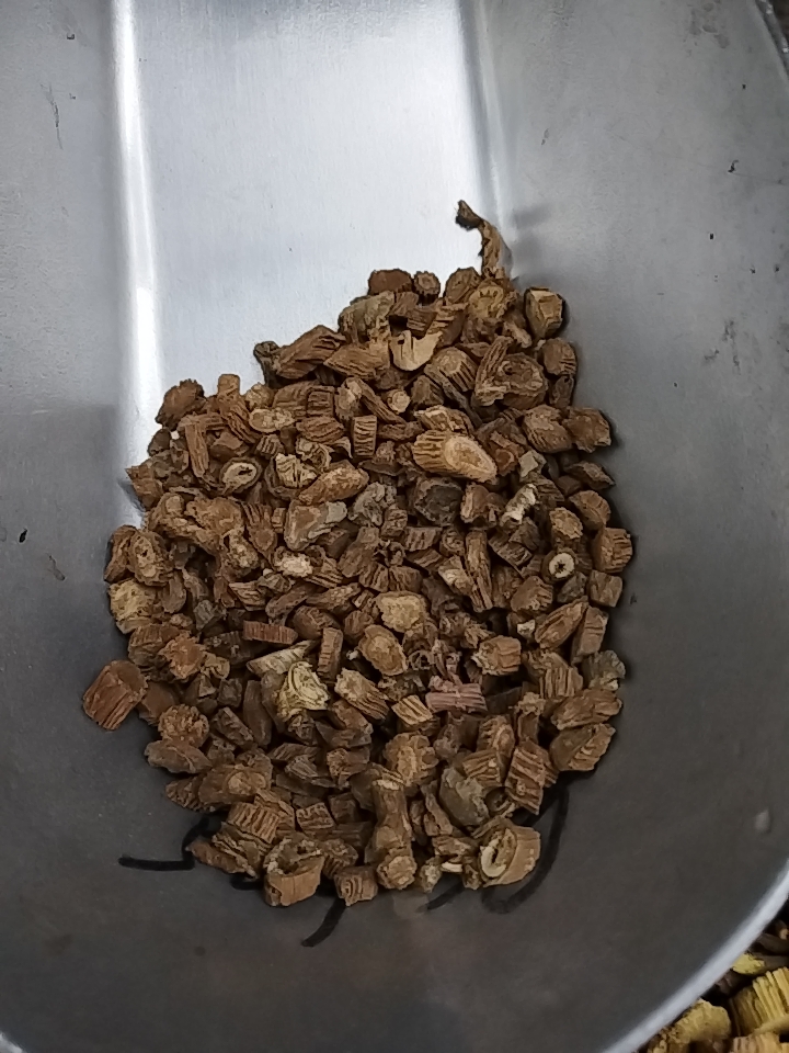 续断 优质中药材川断产地批发