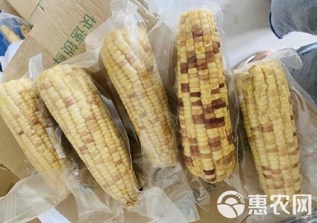 花粘甜玉米糯处理因为品相不好所以处理