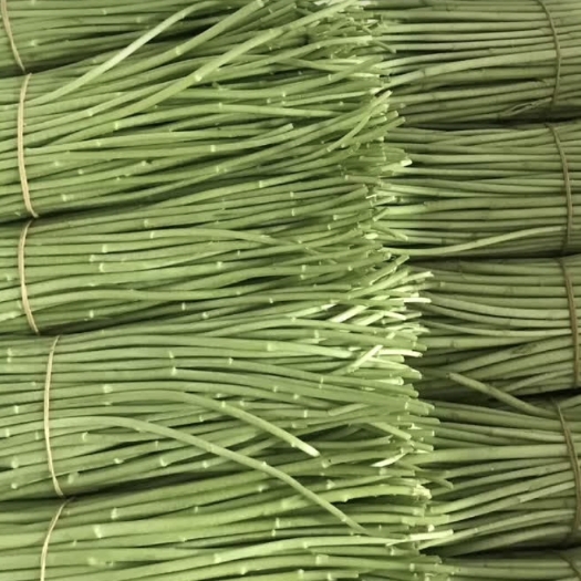昆明应季芦蒿 藜蒿，大量上市