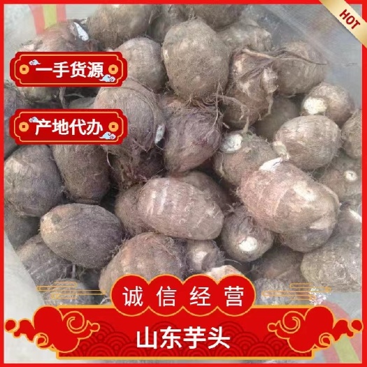沂南县芋头8520，豆包，  山东芋头产地，个大味香软糯，全国发货