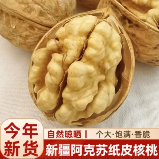 奎屯市阿克苏185纸皮核桃