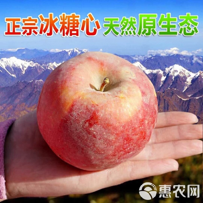 【新疆阿克苏苹果】当季鲜品脆甜多汁