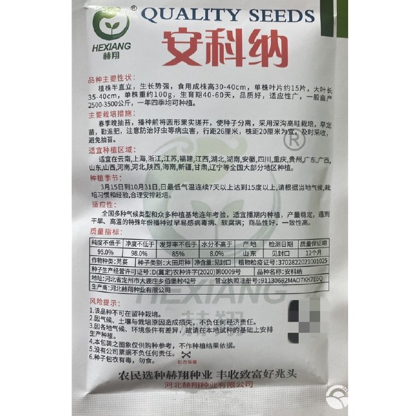 安科纳三天生意大利香菜种子四季香菜抗寒耐热口感好香菜