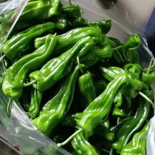 淮安薄皮青椒