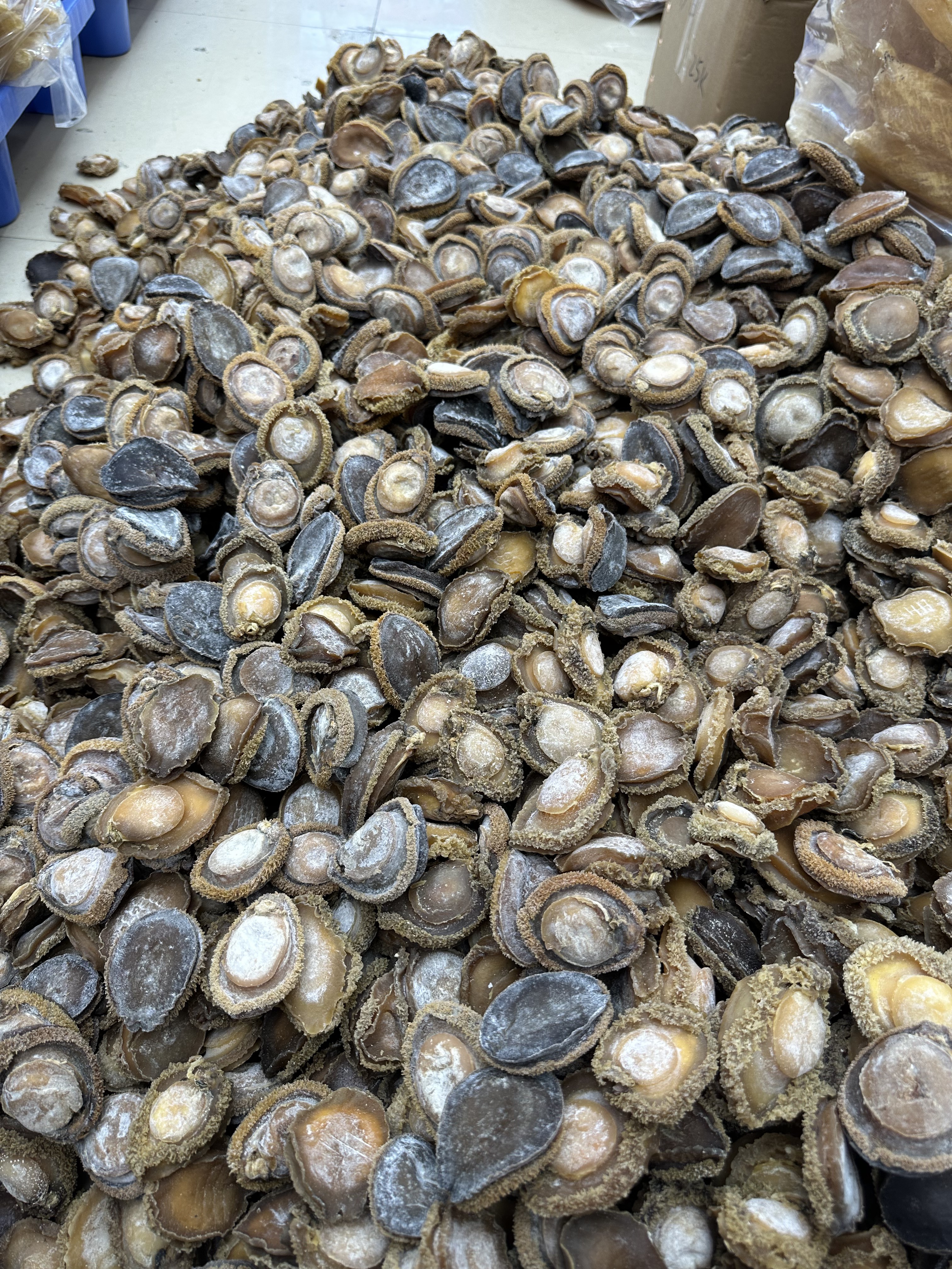 干鲍 南非鲍，鲍鱼，溏心鲍 实惠南非鲍 酒店会所，私厨即食鲍