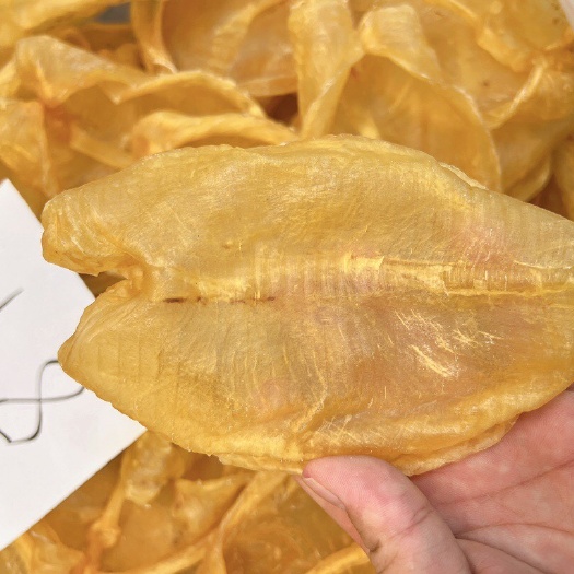 广州黄花胶片8头