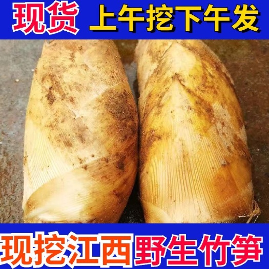 龙岩冬笋现挖支持代收代办