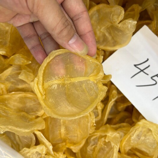 广州45头开片黄花胶