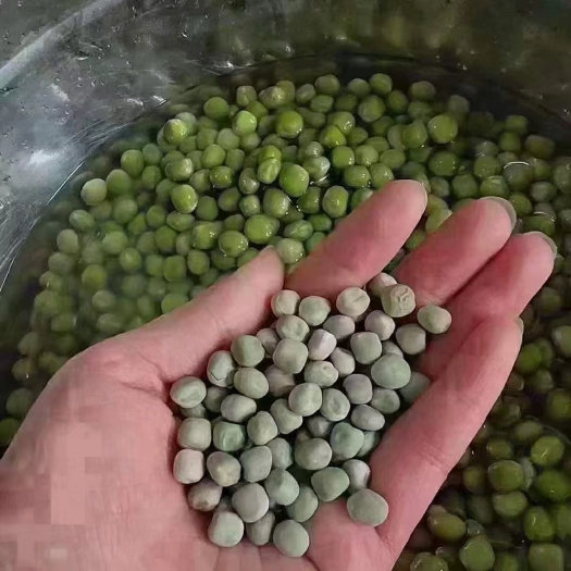 干豌豆  青豌豆 颜色漂亮不脱皮 1斤可泡发2斤 地摊热销