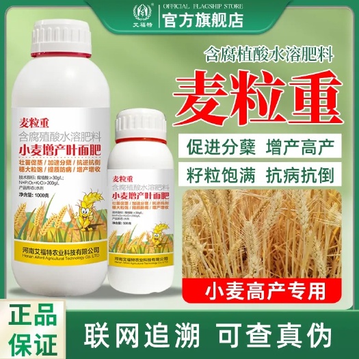 郑州麦粒重小麦增产专用叶面肥促根促分蘖抗倒伏灌浆肥麦黄金水溶肥料