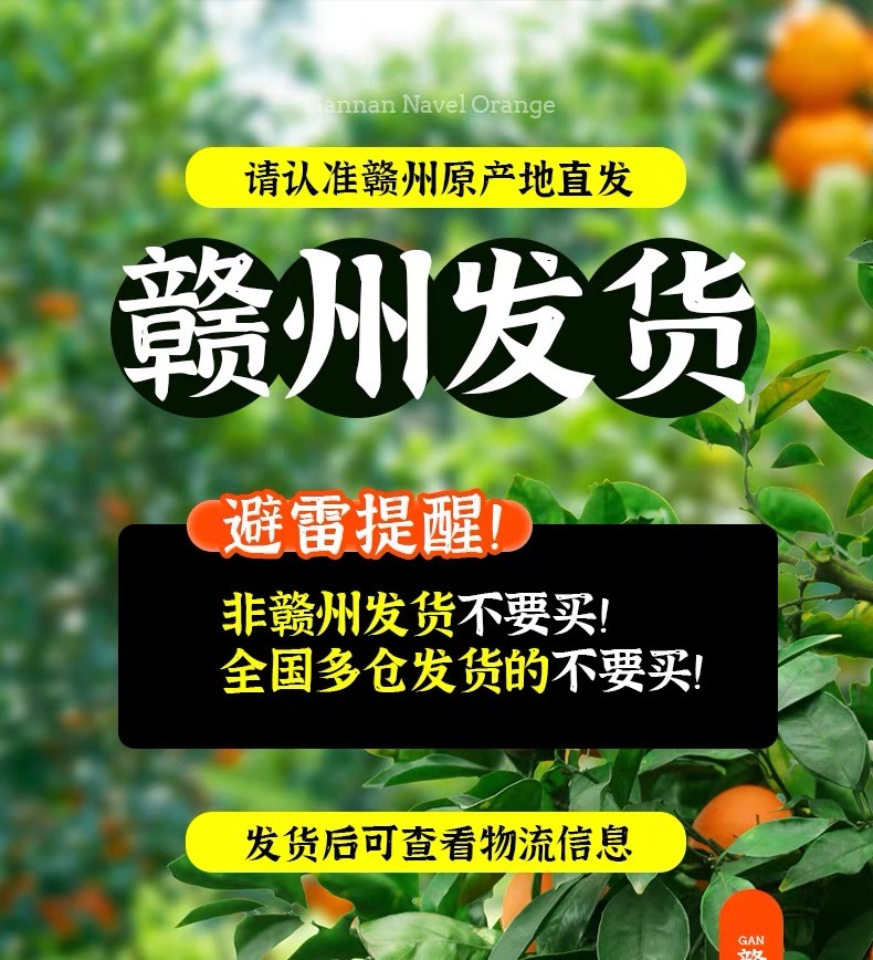 橙子贛南臍橙江西橙子產(chǎn)地直發(fā)新鮮應(yīng)季水果薄皮橙子整箱批發(fā)包郵