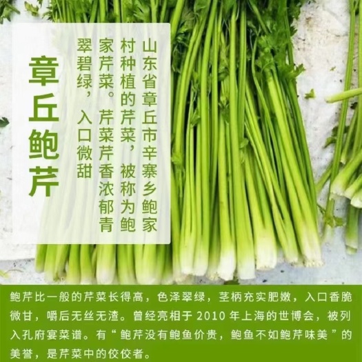 济南章丘鲍芹芹菜芽章丘鲍芹芽 星级酒店商超品质 白嫩无丝芹菜芯
