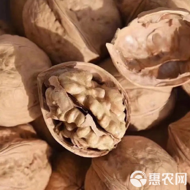 阿克苏185纸皮核桃