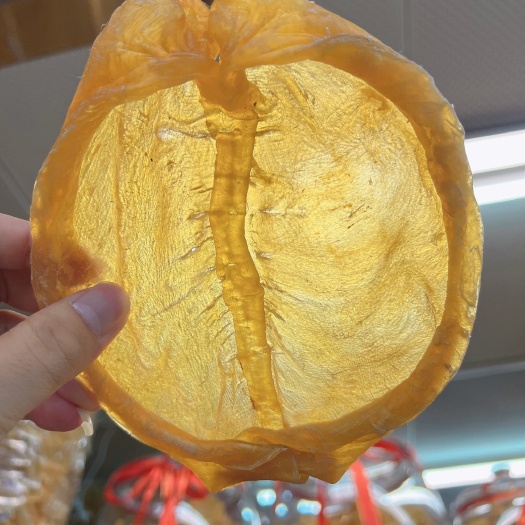 广州黄花胶片6头