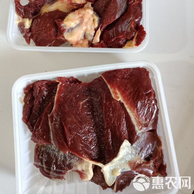 内蒙古锡林郭勒大草原溜达草地牛肉