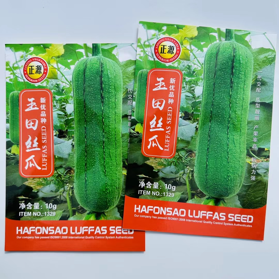 鼎牌優(yōu)比1號肉絲瓜種子種籽南方農(nóng)家早熟春季四季蔬菜種子
