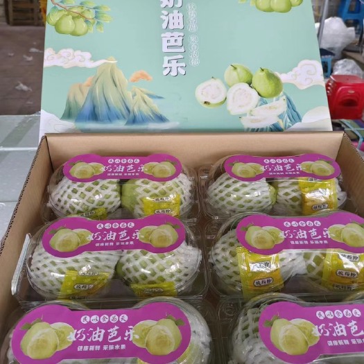 漳州珍珠番石榴