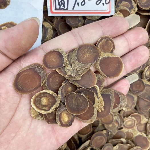 广州高丽参圆中片