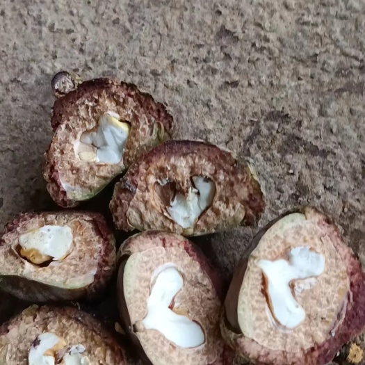 梧州今年的新鲜风流果大量现货