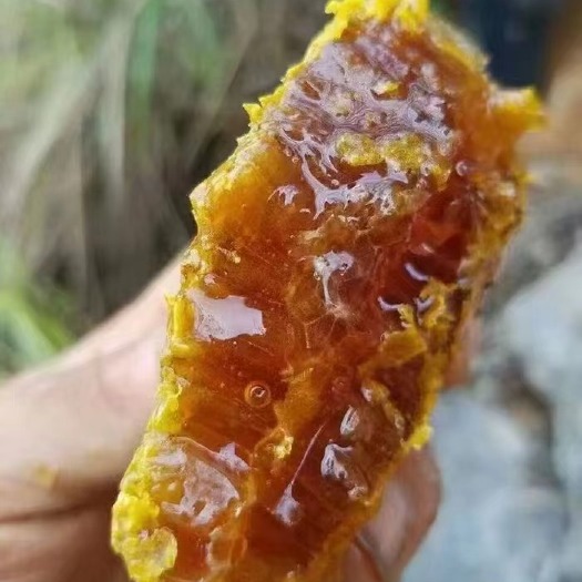 柳州野生蜂蜜