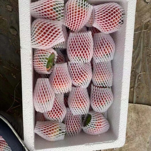 长丰县承接各类电商平台业务，一件代发，欢迎骚扰