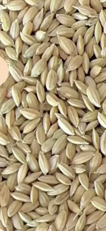 粮食水果蔬菜