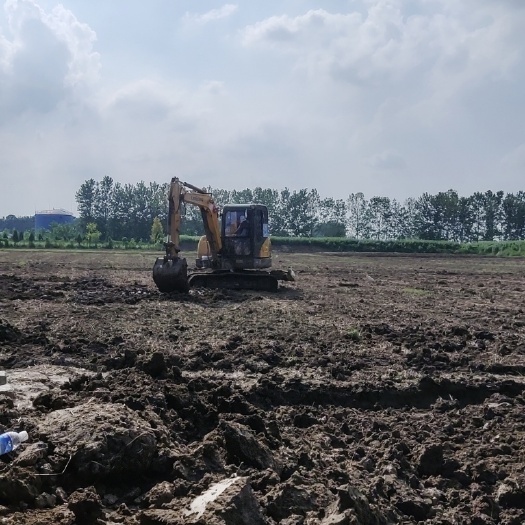 淮安80亩土地可建棚