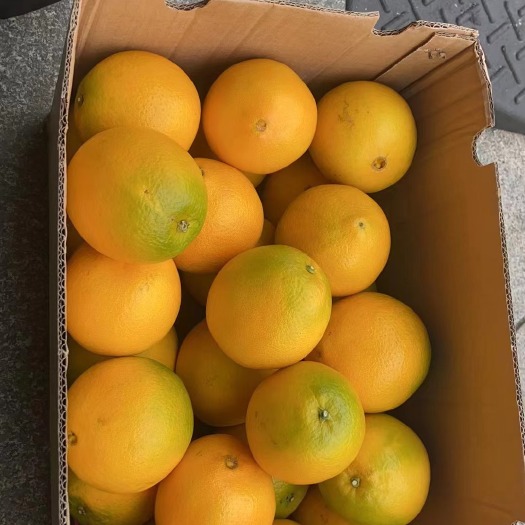 宁波我是江西的，父母自己种的，需要联系我，