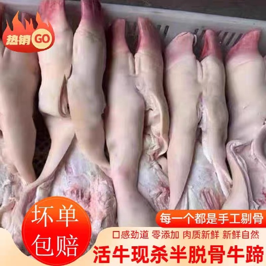 长沙牛蹄新鲜冷冻半去骨牛蹄生牛掌带筋去骨牛脚商用20斤装生牛蹄