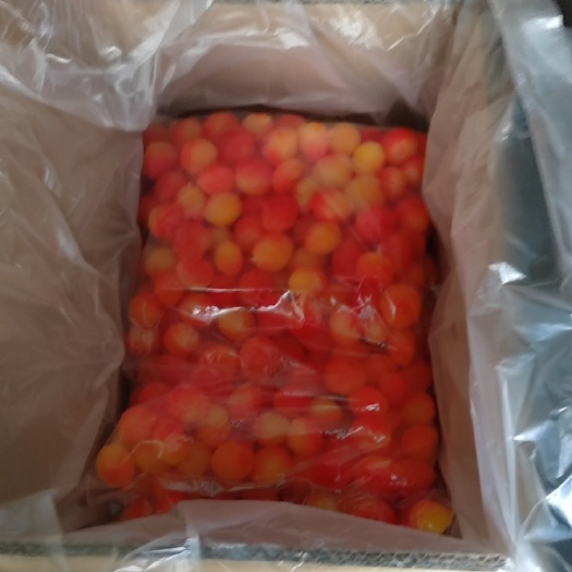 成都金西梅蜜制桃景区同款网红金西梅蜜制双色桃