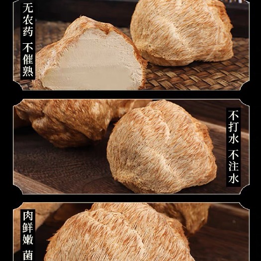 海林市绿色认证猴头菇干