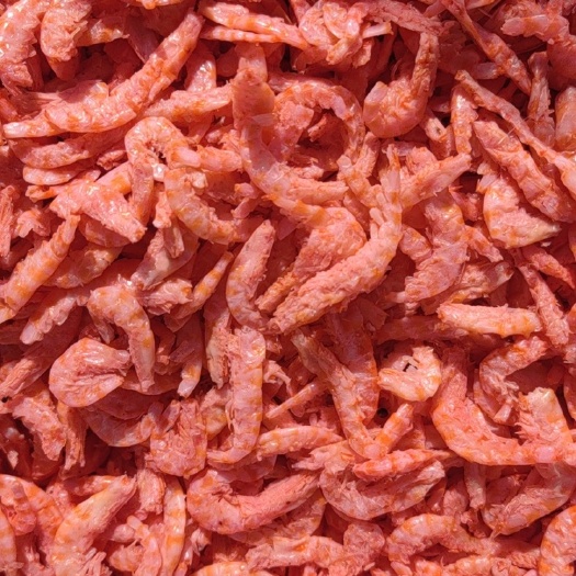 滨州磷虾米，磷虾，虾皮。一手货源 原产地批发 厂家直发，手续齐全