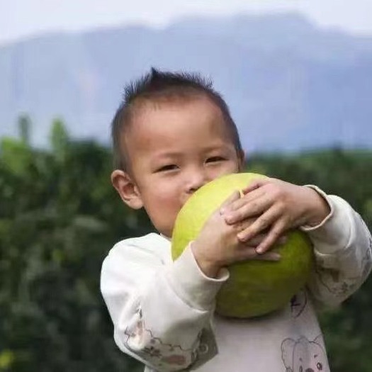 江永香柚支持一件代发社区团购、产地代办
