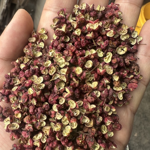 新货上市茂汶红花椒 大红袍， 香 麻
