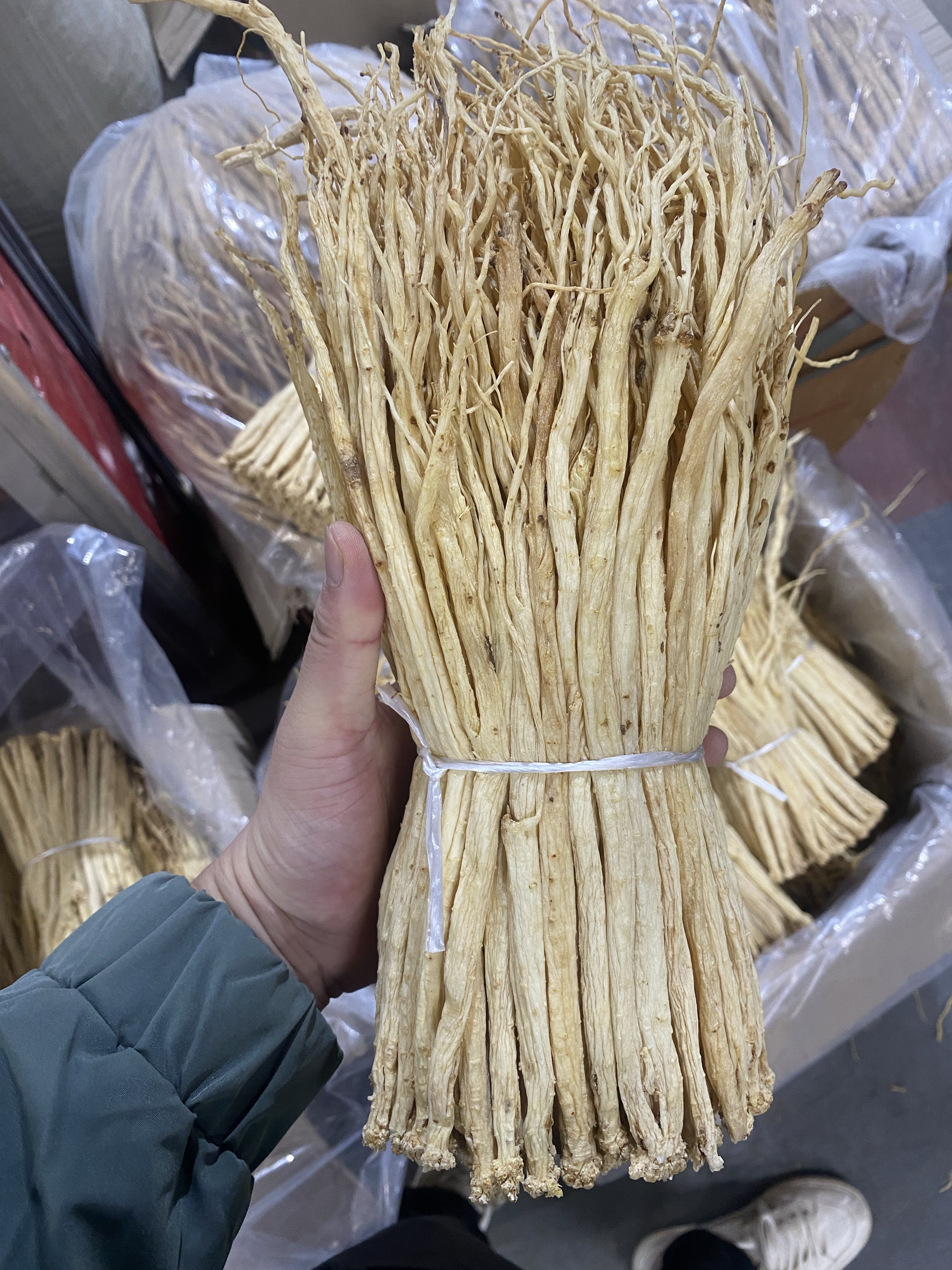党参中扎0.6-0.8公分足干颜色白亮新货包邮产地直销价格优