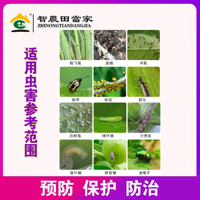 70%噻虫嗪杀虫剂农药蔬菜果树杀蓟马蚜虫茶小绿叶蝉杀虫剂