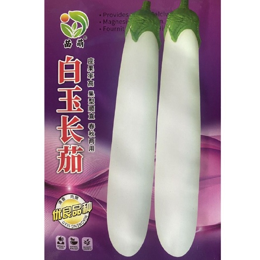 祁东县白玉白茄种子白长茄子种籽四季春秋种植蔬菜茄子种籽