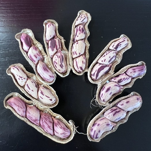 昆明【七彩花生】云南特产 产地批发 价格很优惠 买的越多越便宜