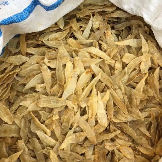 广州小金龙135头