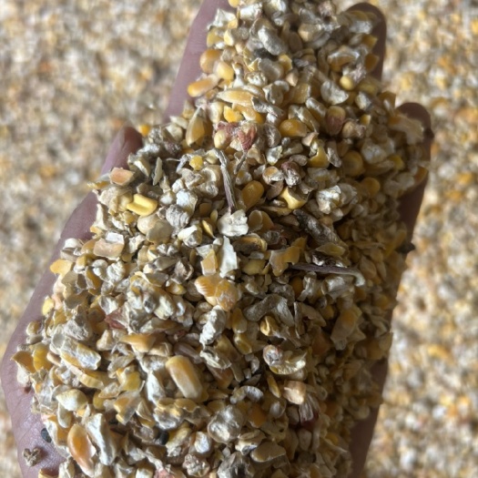 夏邑县大量出售碎玉米。玉米筛漏