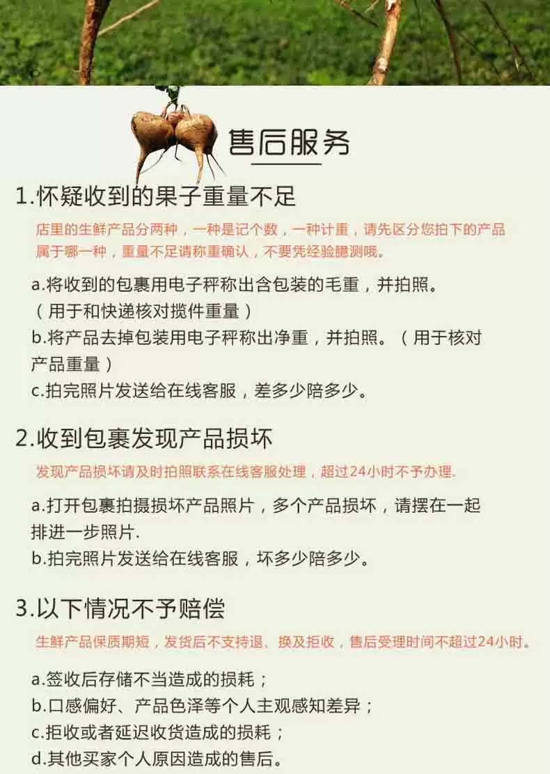 凉薯新鲜现挖白地瓜萝卜大果农家特产清甜水果沙葛土番薯包邮