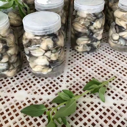 饶平县现开现发生蚝肉盒装罐装批发价包邮到家合适火锅餐饮家庭聚会