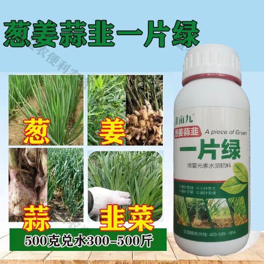 荥阳市葱姜蒜韭专用肥黄叶干尖叶通用型营养液叶片厚绿生根壮苗专用肥