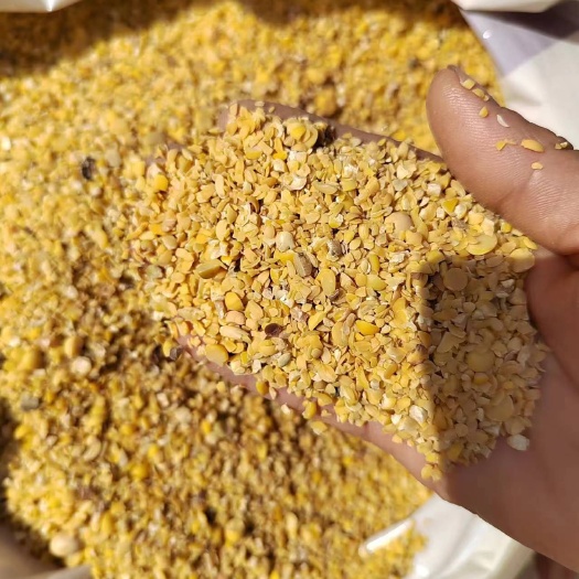 郓城县碎黄豆，黄豆，豆瓣，碎大豆，上地肥料豆，养殖饲料豆榨油压饼豆
