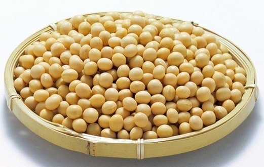 廊坊现有1500斤黄大豆出售，有意者联系我