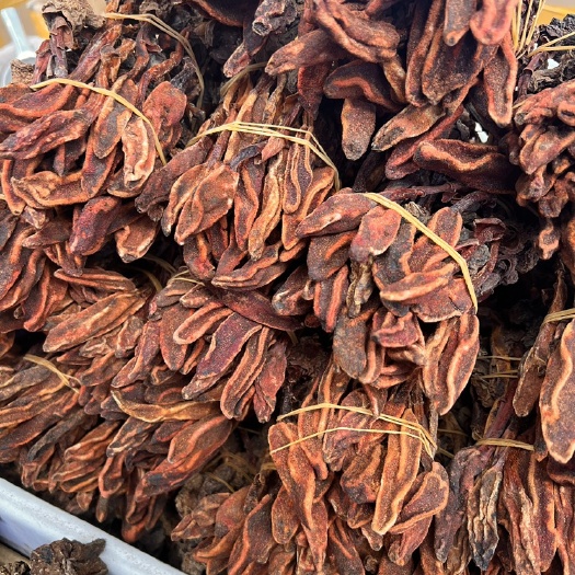【回春草】干货 只做一手货源 专业批发 现货现发