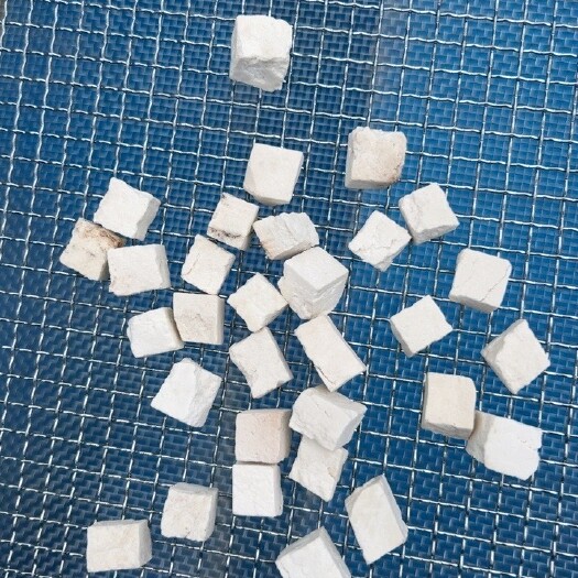 贵阳茯苓