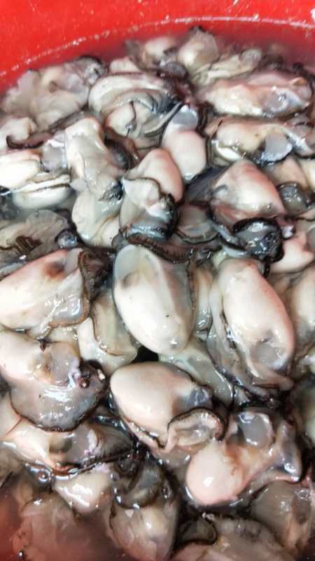 现开现发生蚝肉盒装罐装批发价包邮到家合适火锅餐饮家庭聚会