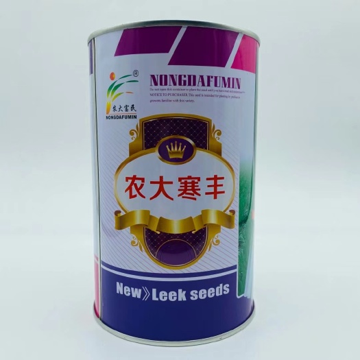 宿迁韭菜种子农大系列韭菜种子耐寒抗病不休眠口感好大田基地优选