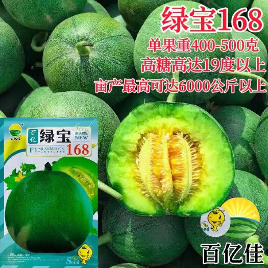 沭阳县绿宝168甜瓜种子薄皮超甜香瓜种子春季四季脆瓜早熟高香瓜籽